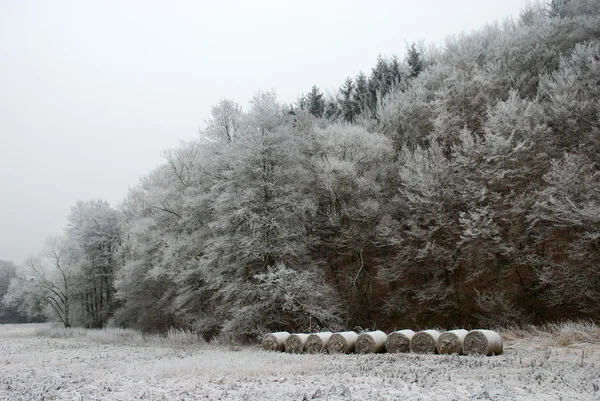 Winterlandschaft — Stockfoto