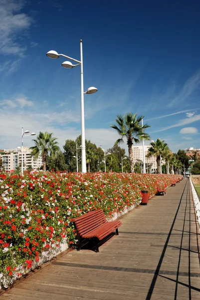 Parque em Valência, Espanha — Fotografia de Stock