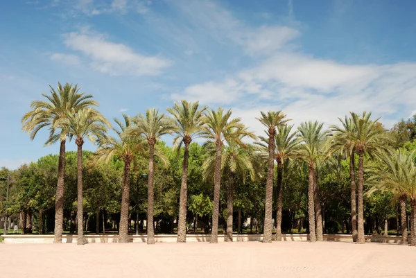 Парк в Валенсии, Испания — стоковое фото