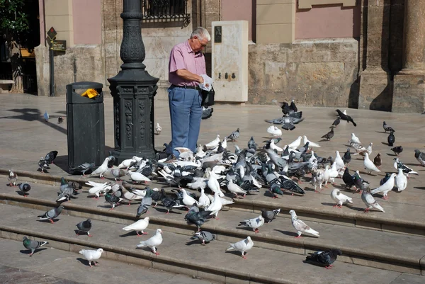 Elderly man feeding pigeons in Valencia, Spain — Stock Photo, Image