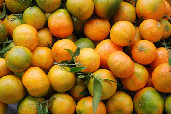 Juicy Tangerines — Stock Photo, Image