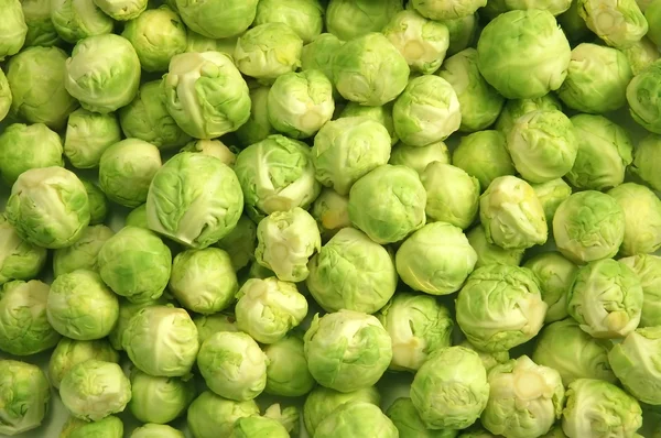 Brussels sprouts — Stock Photo, Image