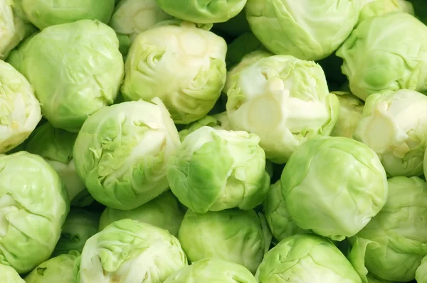 Brussels sprouts — Stock Photo, Image