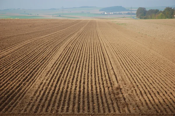 Herbstfeld — Stockfoto