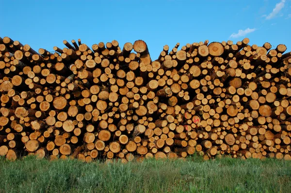 Hromada dřeva — Stock fotografie