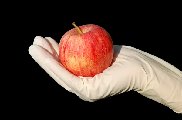 Hand mit Handschuh hält Apfel — Stockfoto