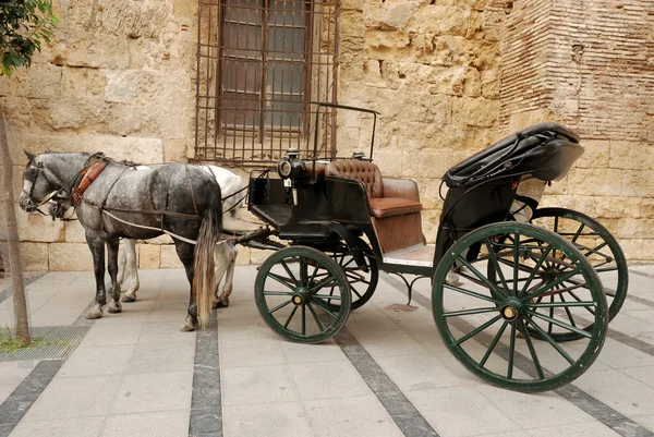 Horses and carriage for sightseeing in Cordova, Spain — Stock Photo, Image