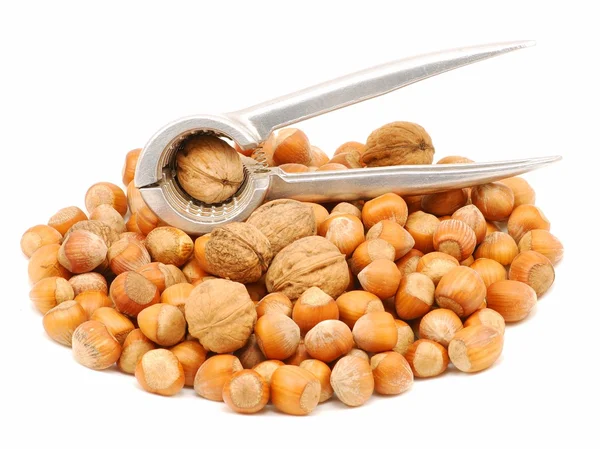 Walnuts and hazelnuts with nutcracker isolated over white — Stock Photo, Image