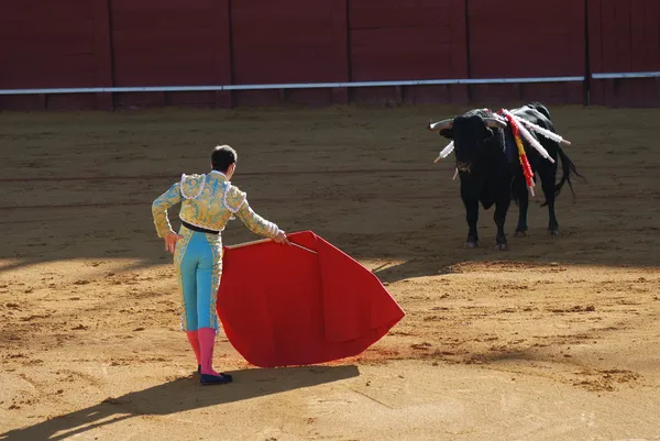 Torero i arenan tjurfäktning i Spanien — Stockfoto