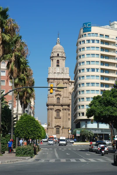 Sokak ve katedral Malaga, İspanya — Stok fotoğraf