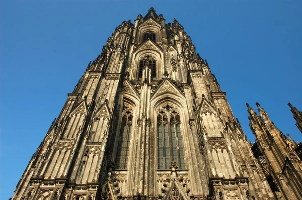 Köln Katedrali, Almanya — Stok fotoğraf