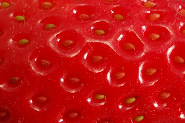 Fresh Strawberry — Stock Photo, Image