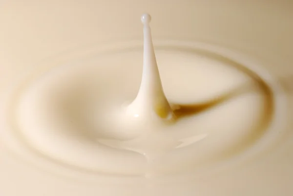 Süt damlacık makro — Stok fotoğraf