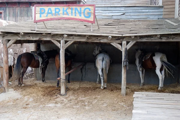 Häst parkeringsplats — Stockfoto
