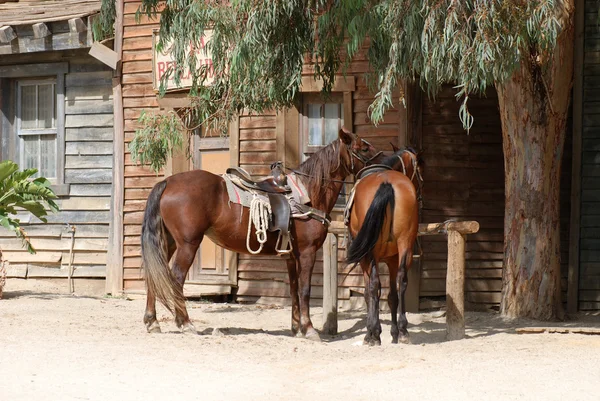 Scenery in a traditional American western town — Stock Photo, Image