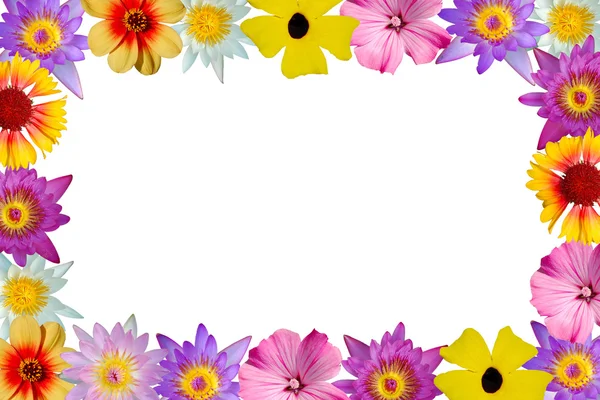 Floral border — Stock Photo, Image