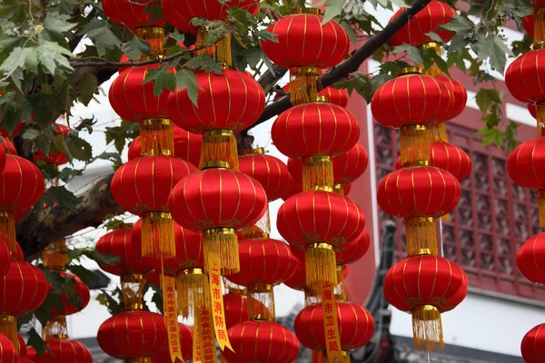 Lanterna chinesa vermelha tradicional em Shanghai, China — Fotografia de Stock