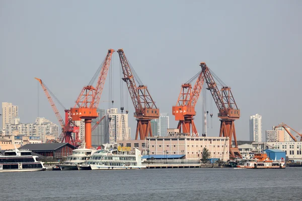 Kranen in de haven in shanghai, china — Stockfoto