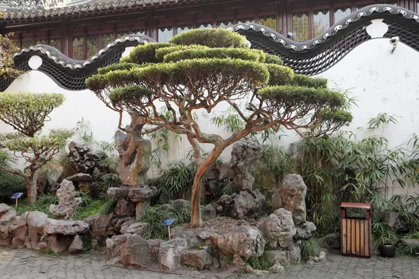 Arquitetura chinesa tradicional em Yuyuan garden, Shanghai China — Fotografia de Stock