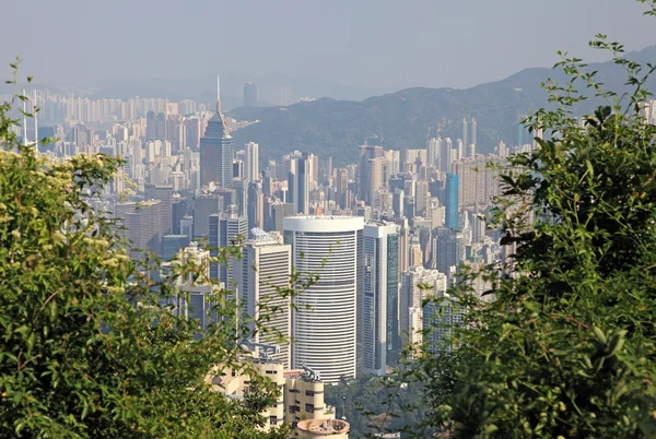 View of Hong Kong from Victoria Peak trail — Stock Photo, Image