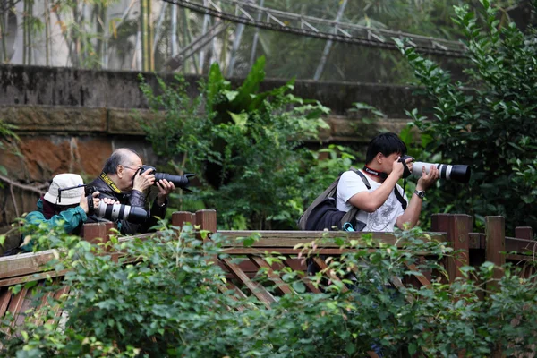 Photographers shooting animals in the zoo — Stock Photo, Image