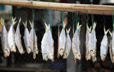 Dried cod in Tai O fishing village. Lantau Island, Hong Kong, China clipart