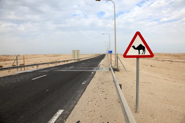 Kameler korsar underteckna i qatar, Mellanöstern — Stockfoto