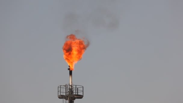 Öl-Raffinerie-Gas-Fackelδιυλιστήριο πετρελαίου αερίου φωτοβολίδα — Αρχείο Βίντεο