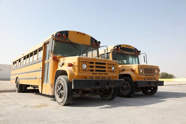 2 노란 학교 버스 주차장에서. 도 하, 카타르, 중동 — 스톡 사진