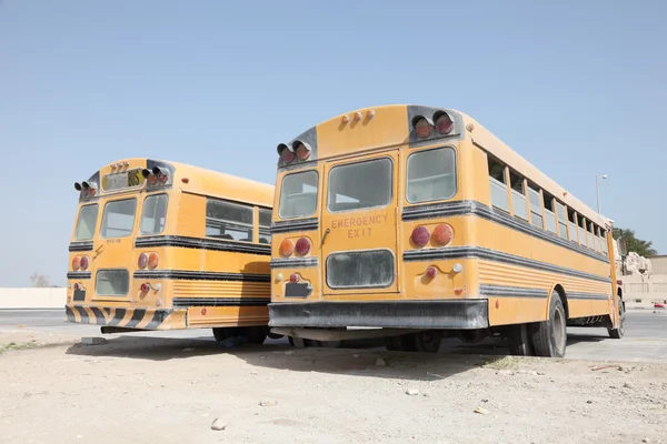 Dvě žlutá školní autobusy na parkovišti. Dauhá, Katar, Střední východ — Stock fotografie