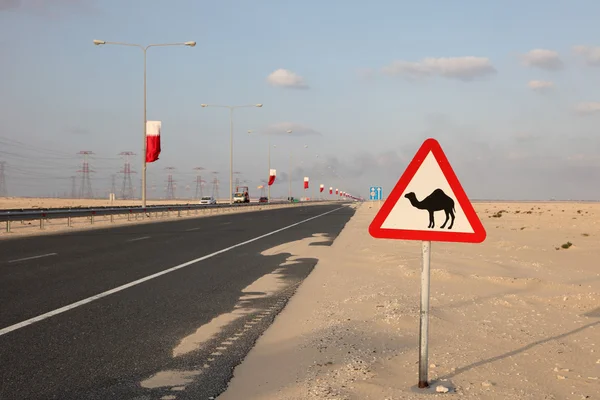 Panneau d'avertissement de chameau sur l'autoroute au Qatar, Moyen-Orient — Photo