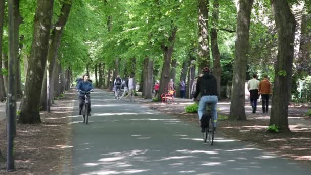 Bicycle riders in a city park — Stock Video