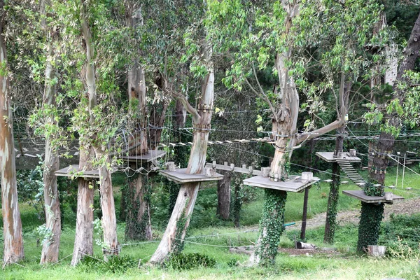 Playground de escalada ao ar livre em árvores — Fotografia de Stock