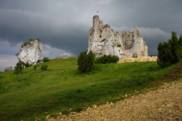 Ruinas del castillo y un prado —  Fotos de Stock