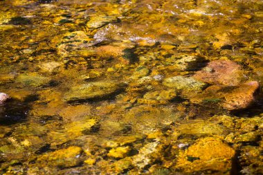 Akan bir derenin dibindeki taşlar