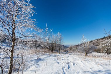Kış manzara pl bölgesinde, Polonya