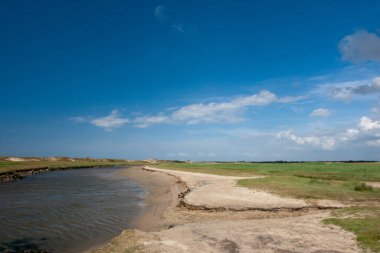 Het Zwin Parkı, Belçika