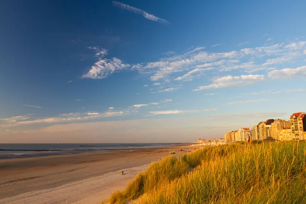 Beach Knokke Heist Belgium — Stock Photo, Image