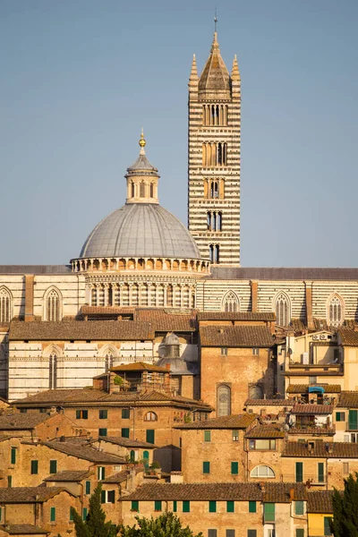 View Siena Tuscany Italy — Stockfoto