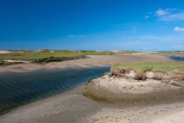 Belçika 'dan Het Zwin' e bak