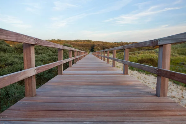 Holzsteg Einem Strand Belgien lizenzfreie Stockbilder