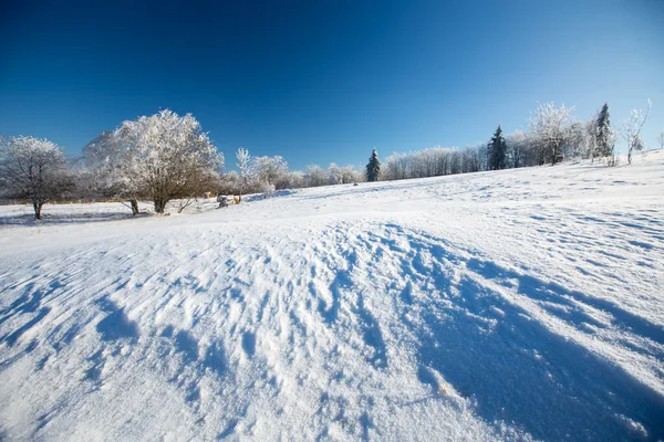 Winterlandschaft Der Region Dolnoslaskie Polen Stockfoto