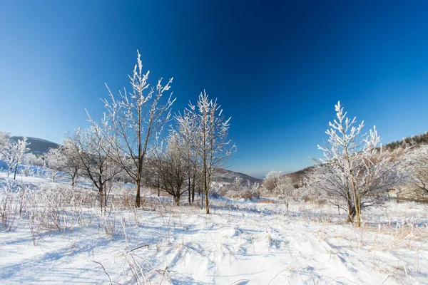 Зимний Пейзаж Долносласке Польша — стоковое фото