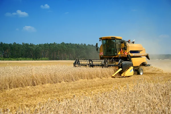 Mähdrescher, Kombajn Stockbild