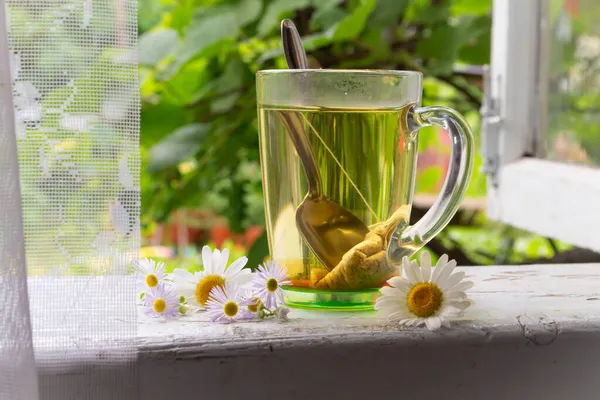 Filiżanka z ziołowej herbaty rumianku i kwiatów rumianku — Zdjęcie stockowe