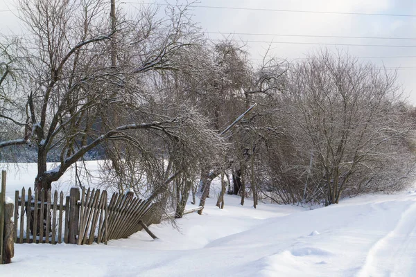 Замороженный утренний зимний пейзаж с забором, сельская местность Беларуси — стоковое фото