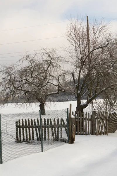 Vinter landsväg och träd i snö. Trädgård med staket — Stockfoto