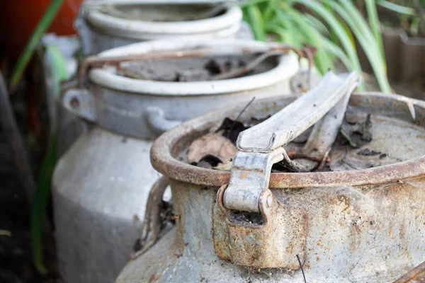 Rural Vintage Leite Latas Sobre Grama Latas Metal Velho Closeup — Fotografia de Stock