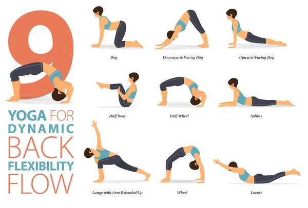 Infografik Yoga Posen Für Das Training Hause Konzept Der Rückenflexibilität — Stockvektor