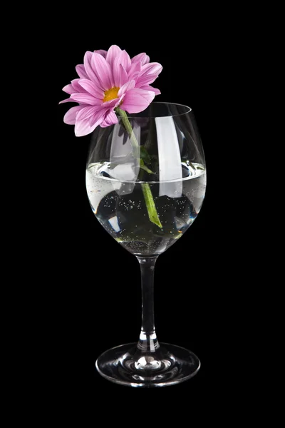 Glass with water and flower isolated on black background — Stock Photo, Image